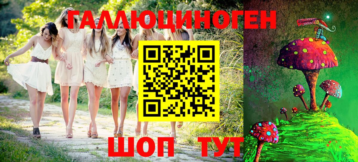 Галлюциногенные грибы Psilocybe  Вход с VPN  Кинешма 