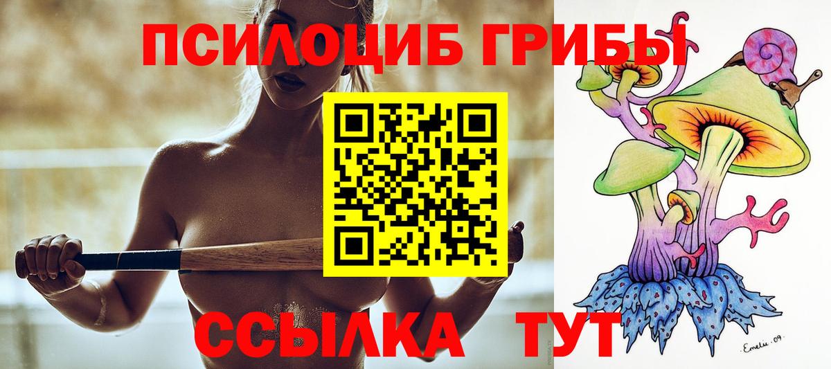 Галлюциногенные грибы Psilocybe Кинешма